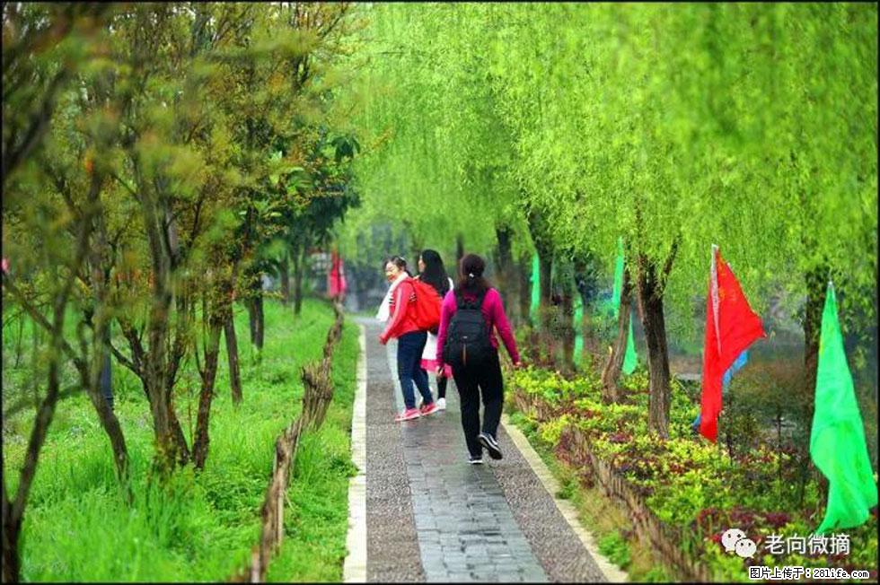 【春天，广西桂林灌阳县向您发出邀请！】江口老街又逢春 - 游山玩水 - 昆明生活社区 - 昆明28生活网 km.28life.net
