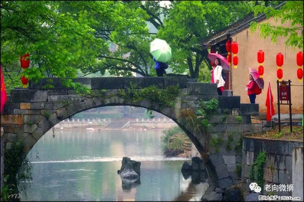 【春天，广西桂林灌阳县向您发出邀请！】江口老街又逢春 - 游山玩水 - 昆明生活社区 - 昆明28生活网 km.28life.net