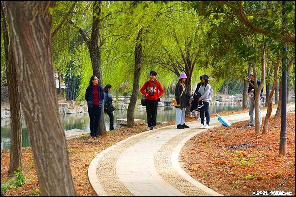 【春天，广西桂林灌阳县向您发出邀请！】江口老街又逢春 - 游山玩水 - 昆明生活社区 - 昆明28生活网 km.28life.net