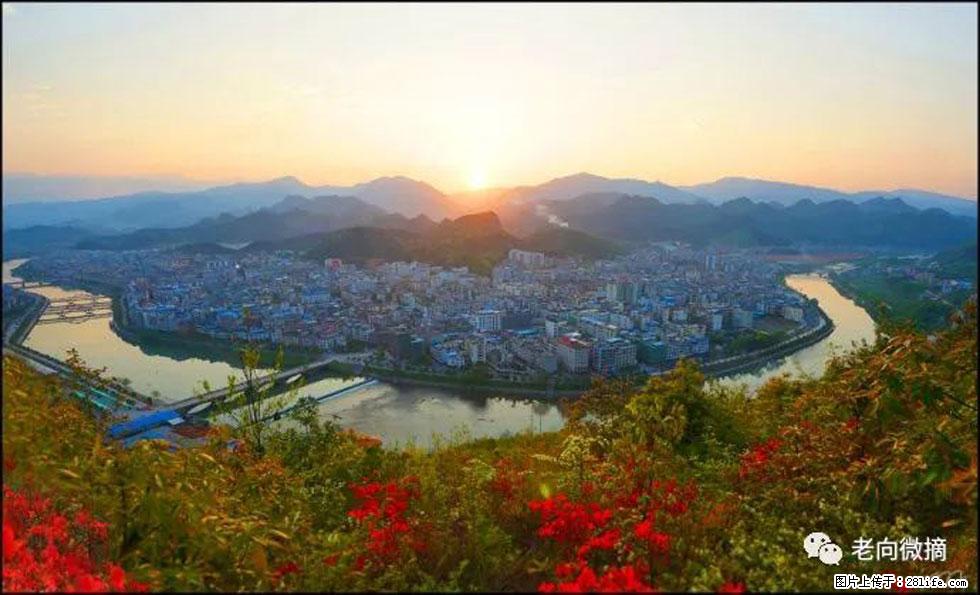 【春天，广西桂林灌阳县向您发出邀请！】登麒麟山，相约映山红 - 游山玩水 - 昆明生活社区 - 昆明28生活网 km.28life.net