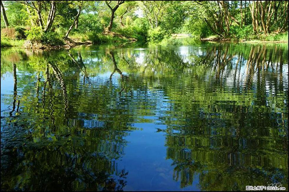 【春天，广西桂林灌阳县向您发出邀请！】熊家寨湿地公园 - 游山玩水 - 昆明生活社区 - 昆明28生活网 km.28life.net