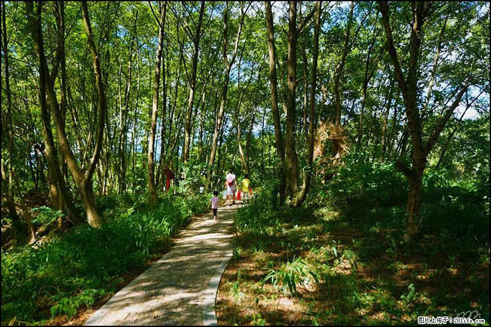 【春天，广西桂林灌阳县向您发出邀请！】熊家寨湿地公园 - 游山玩水 - 昆明生活社区 - 昆明28生活网 km.28life.net