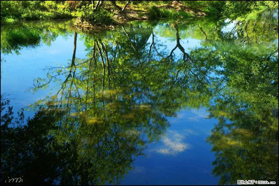 【春天，广西桂林灌阳县向您发出邀请！】熊家寨湿地公园 - 游山玩水 - 昆明生活社区 - 昆明28生活网 km.28life.net