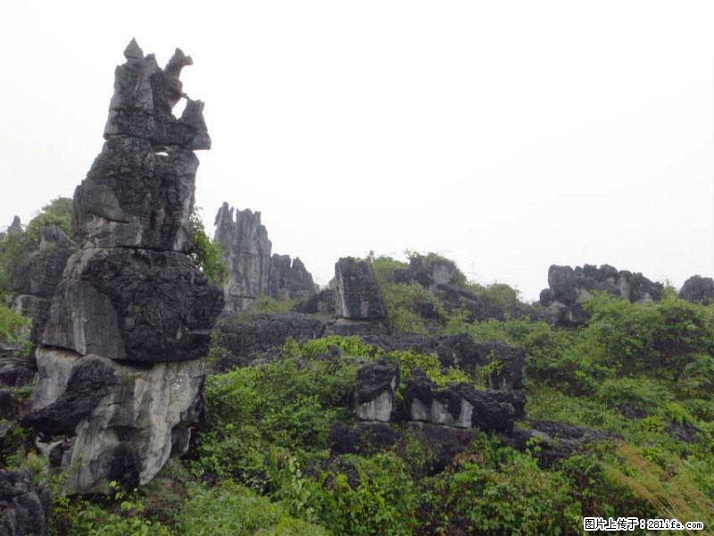 桂林旅游名城景点：灌阳文市石林 - 游山玩水 - 昆明生活社区 - 昆明28生活网 km.28life.net