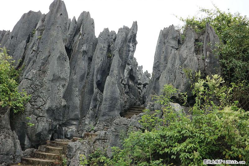 桂林旅游名城景点：灌阳文市石林 - 游山玩水 - 昆明生活社区 - 昆明28生活网 km.28life.net