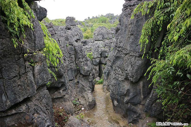 桂林旅游名城景点：灌阳文市石林 - 游山玩水 - 昆明生活社区 - 昆明28生活网 km.28life.net