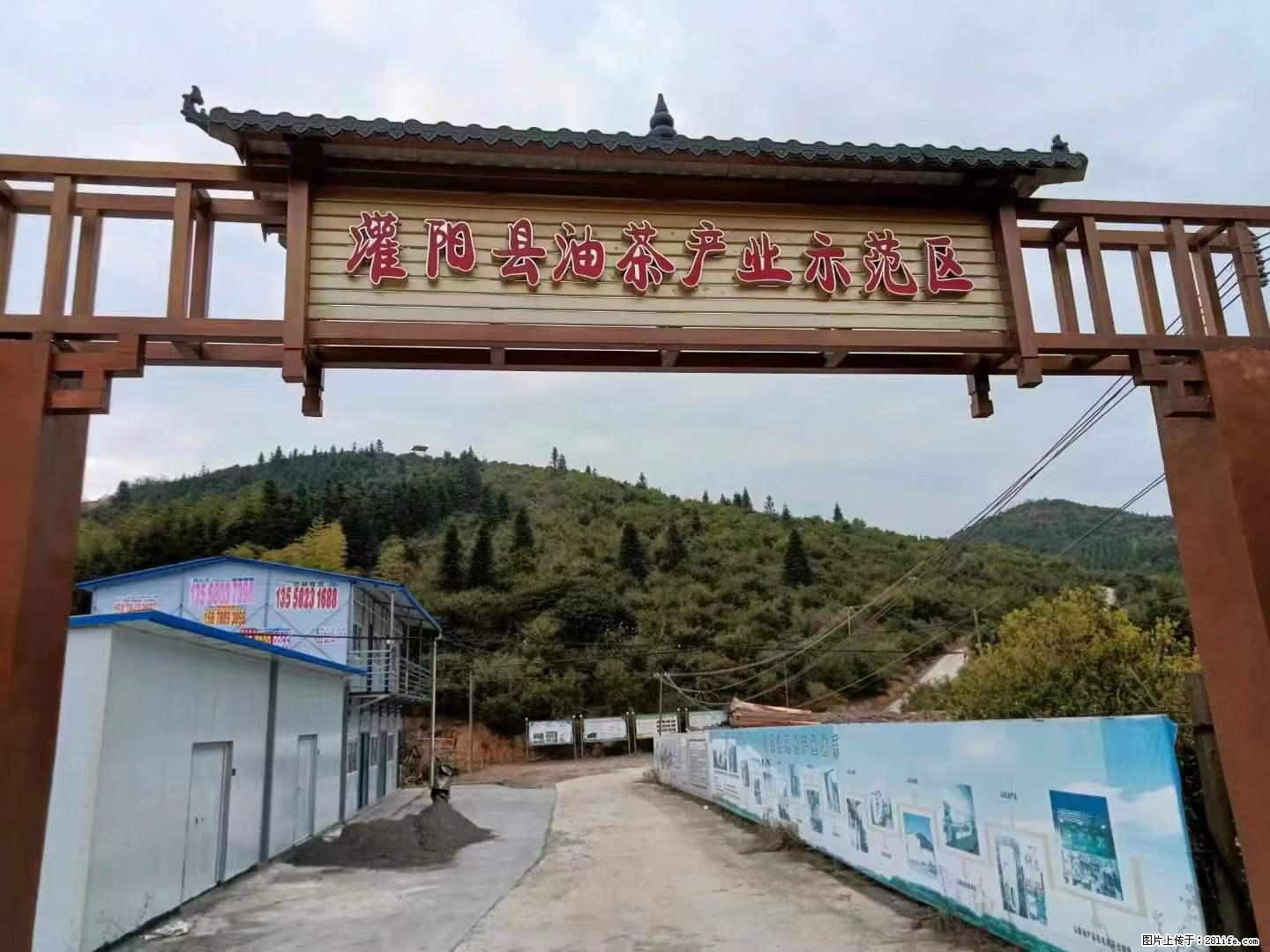 【灌阳县油茶产业示范区】一个有着充实的精神生活的人，对待身外之物自会有一种淡泊的态度 - 美食天地 - 昆明生活社区 - 昆明28生活网 km.28life.net