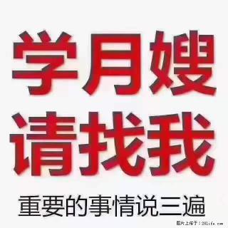 为什么要学习月嫂，育婴师？ - 昆明28生活网 km.28life.net