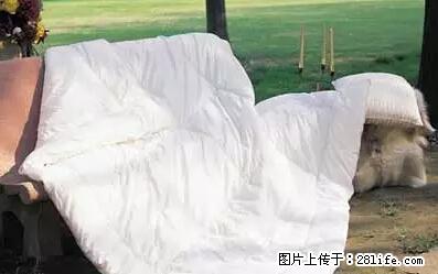 被子有异味？只要这样做，比晒太阳还强100倍！ - 家居生活 - 昆明生活社区 - 昆明28生活网 km.28life.net