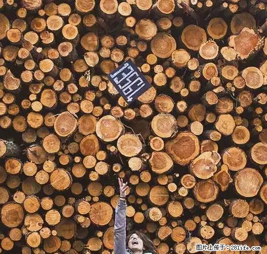 辞掉工作周游世界？现在他们在洗厕所…… - 游山玩水 - 昆明生活社区 - 昆明28生活网 km.28life.net