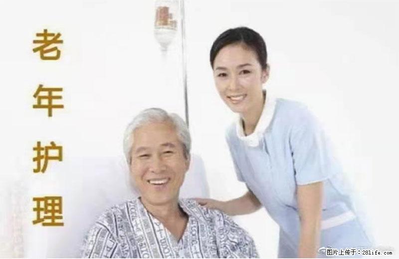 上海国企养老院，星级酒店环境，招聘养老护工 - 职场交流 - 昆明生活社区 - 昆明28生活网 km.28life.net