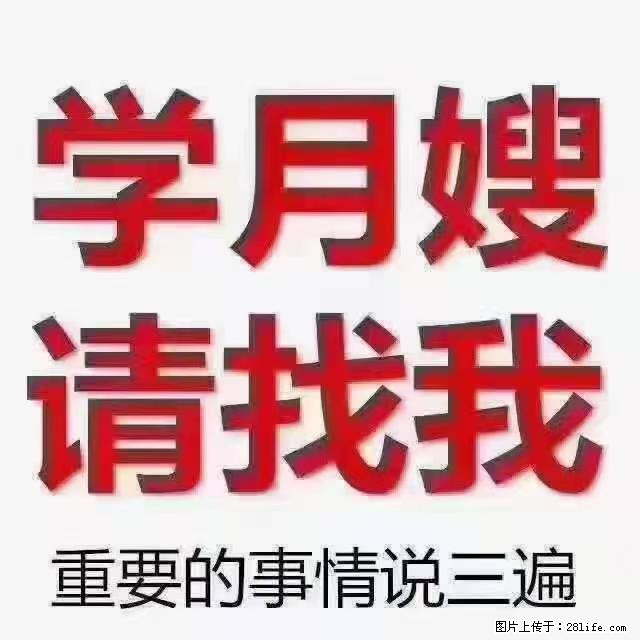 【招聘】月嫂，上海徐汇区 - 职场交流 - 昆明生活社区 - 昆明28生活网 km.28life.net
