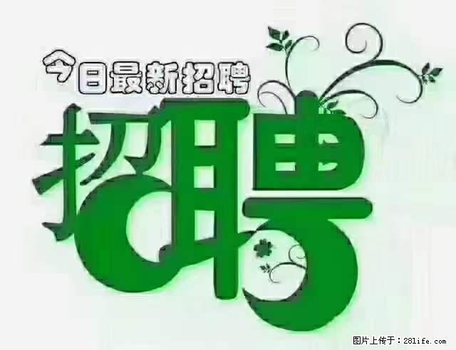 上海青浦区招仓管 - 职场交流 - 昆明生活社区 - 昆明28生活网 km.28life.net