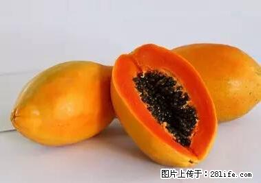 晕车、脚气、牙齿变黄、皮肤粗糙?学会这些三分钟搞定! - 昆明生活资讯 - 昆明28生活网 km.28life.net