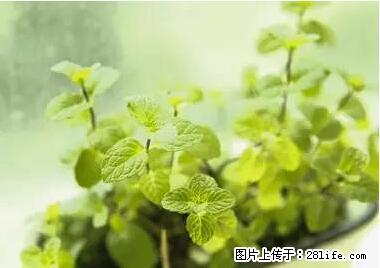 晕车、脚气、牙齿变黄、皮肤粗糙?学会这些三分钟搞定! - 昆明生活资讯 - 昆明28生活网 km.28life.net