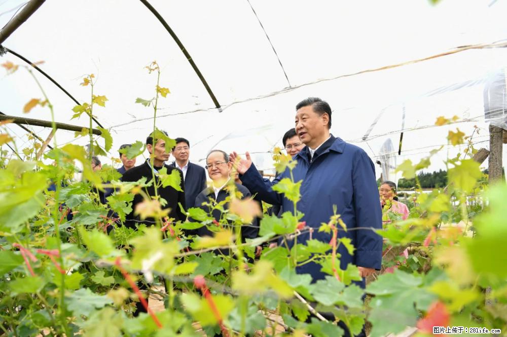 习近平赴广西考察调研 - 昆明生活资讯 - 昆明28生活网 km.28life.net