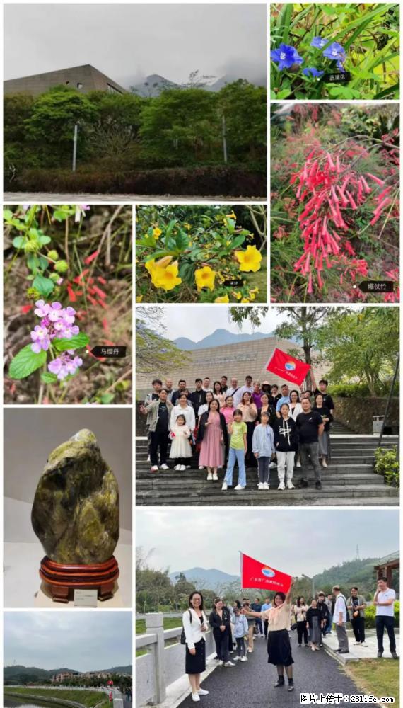“粤灌文化 美好生活”油茶文化主题活动在广东深圳成功举办 - 昆明生活资讯 - 昆明28生活网 km.28life.net