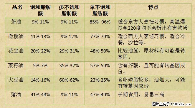 揭秘茶油的5大核心营养成分！被称为人体健康的“守护盾”！ - 昆明生活资讯 - 昆明28生活网 km.28life.net