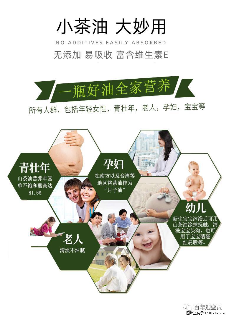 世界没有真相，只有认知，最好的食用油是中国的山茶油！ - 昆明生活资讯 - 昆明28生活网 km.28life.net