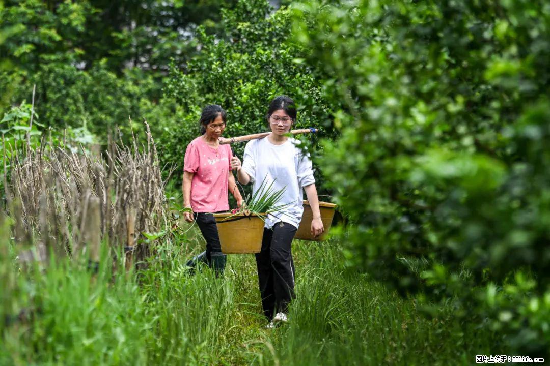 全网追的“扁担女孩”，找了一份暑假工，时薪12元 - 昆明生活资讯 - 昆明28生活网 km.28life.net