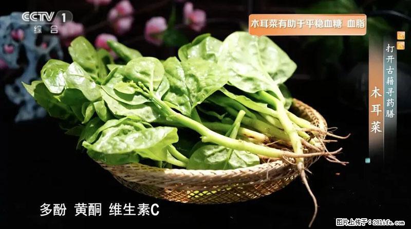 比牛奶补钙还厉害！凉血解毒、稳血糖...这菜冬天必吃，很多人却当草 - 昆明生活资讯 - 昆明28生活网 km.28life.net