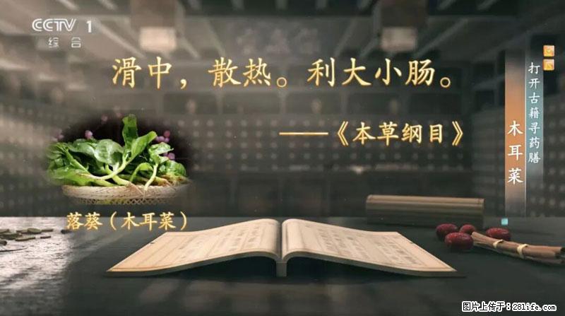 比牛奶补钙还厉害！凉血解毒、稳血糖...这菜冬天必吃，很多人却当草 - 昆明生活资讯 - 昆明28生活网 km.28life.net