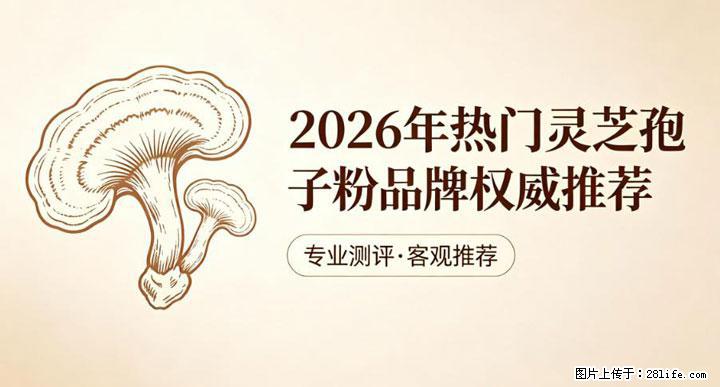 灵芝孢子粉含量越高越有效？2026 年七款热门品牌深度实测，肠胃敏感者避坑指南 - 昆明生活资讯 - 昆明28生活网 km.28life.net